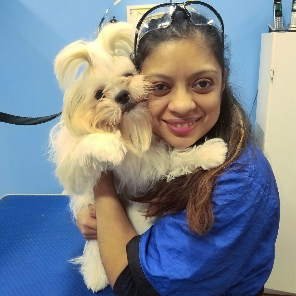 Bark 'N Bubbles Dog Wash & Grooming Salon Fairfax, VA